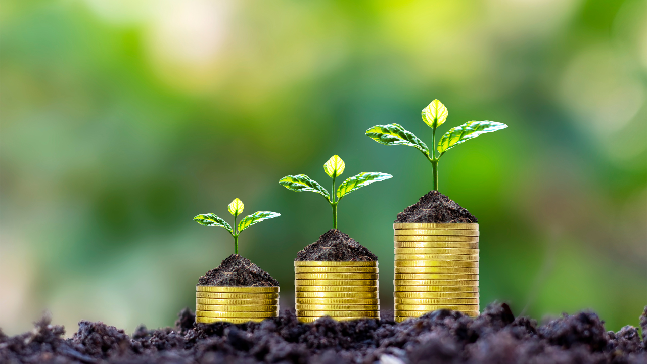 金貨の上に植えられた葉っぱ